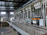 Рисопереробні заводы вертикального типу. Rice milling plant vertical type.