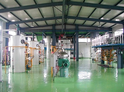 Degumming and deacidification