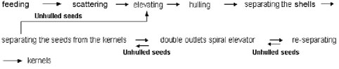 Pumpkin_flow chart.jpg (12775 bytes)