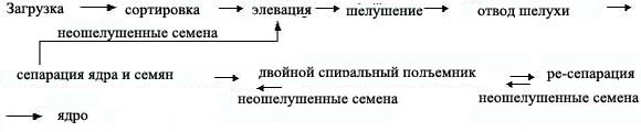 pumpkin_flow chart_rus.jpg (17950 bytes)